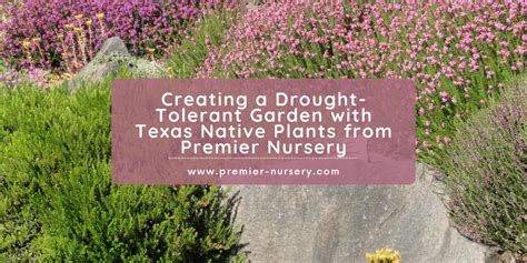 premier nursery fort worth|native plant nursery euless tx.